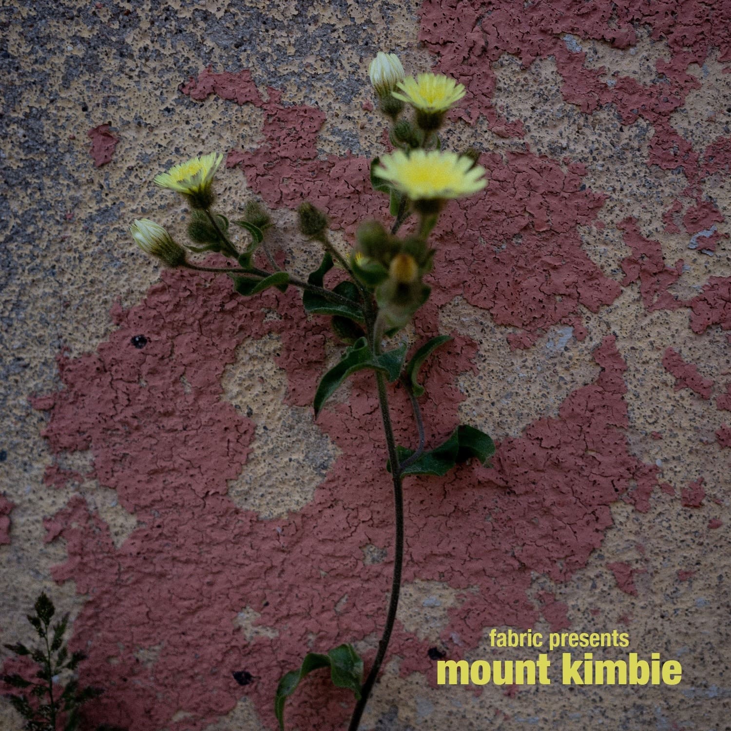 Mount Kimbie To Helm New fabric Mix