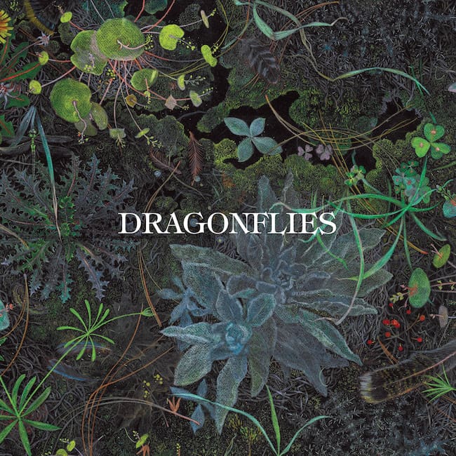 Dragonflies band photo