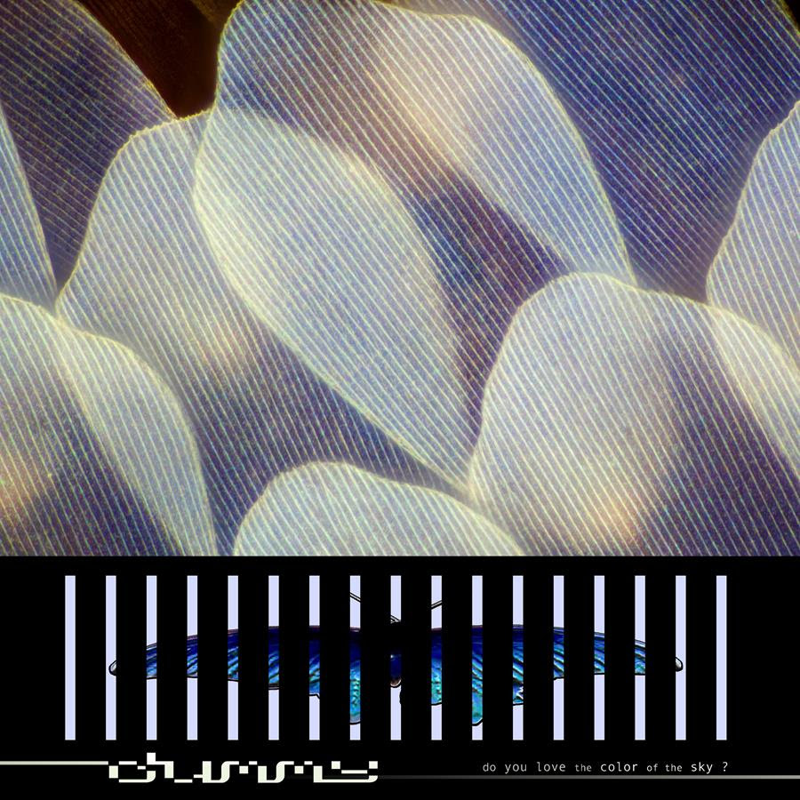 Dummy album artwork